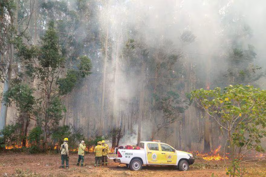 el-fuego-ya-arraso-con-200-mil-hectareas-en-3AWCGMUWQZC3LD2ZYOYXJCHGFA