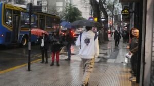 imagen-47