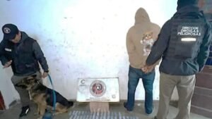 imagen-284