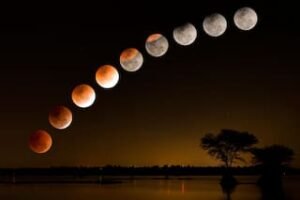 imagen-317