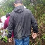 imagen-232