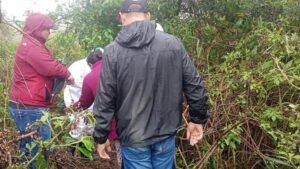 imagen-232