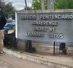 imagen-239