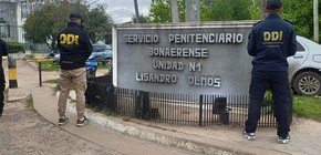 imagen-239